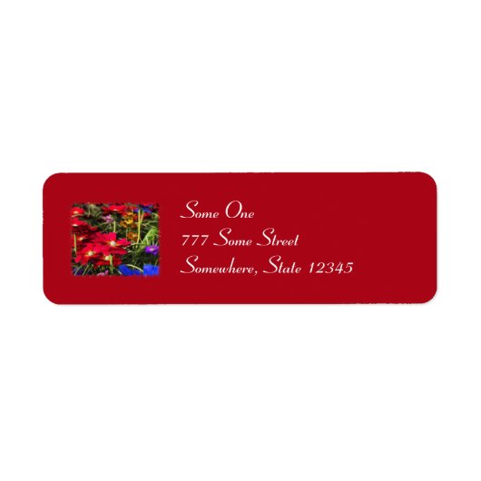 Iridescent Spring Address Labels (Vorne)