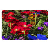 Iridescent Spring Flexible Magnet (Horizontal)