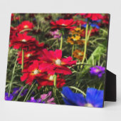 Iridescent Spring Foto Plaque Fotoplatte (Seite)