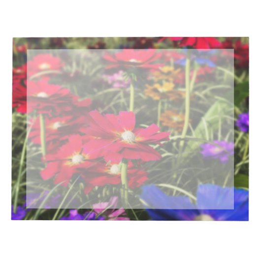 Iridescent Spring Notepad Notizblock (Vorderseite)