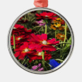 Iridescent Spring Ornament (Vorne)
