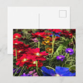 Iridescent Spring Postcard Postkarte (Vorne/Hinten)