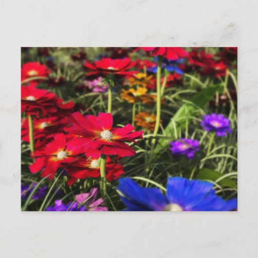 Iridescent Spring Postcard Postkarte (Vorderseite)