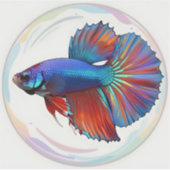 Irideszenter Strom – Betta-Fisch Kunst Quadratisch Aufkleber (Vorderseite)