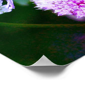 Irideszierende Wespe auf Blume Abstrakte Farben Poster (Ecke)