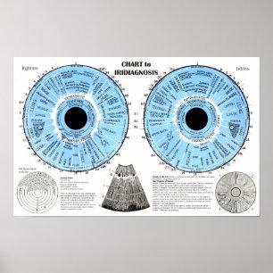 Iridiagnose Iridologie Augenkarte  Poster