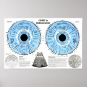 Iridiagnosis Iridology Eye Chart Poster (Vorne)