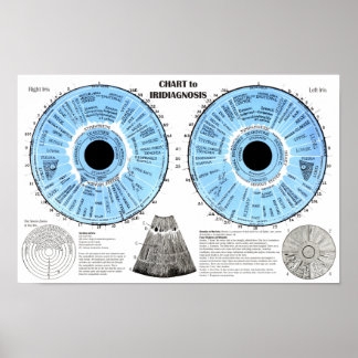 Iridiagnosis Iridology Eye Chart  Poster