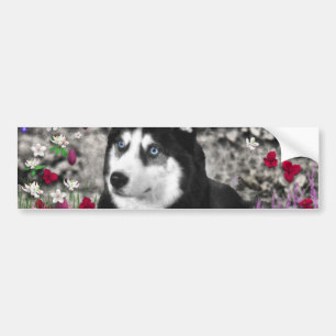 Irie der sibirische Schlittenhund in den Blumen Autoaufkleber