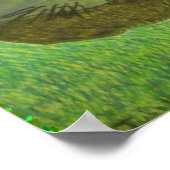 Irina Die Katze auf dem Gras von Julia Hanna Poster (Ecke)