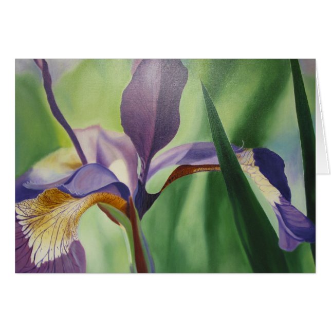 Iris (Vorderseite (Horizontal))