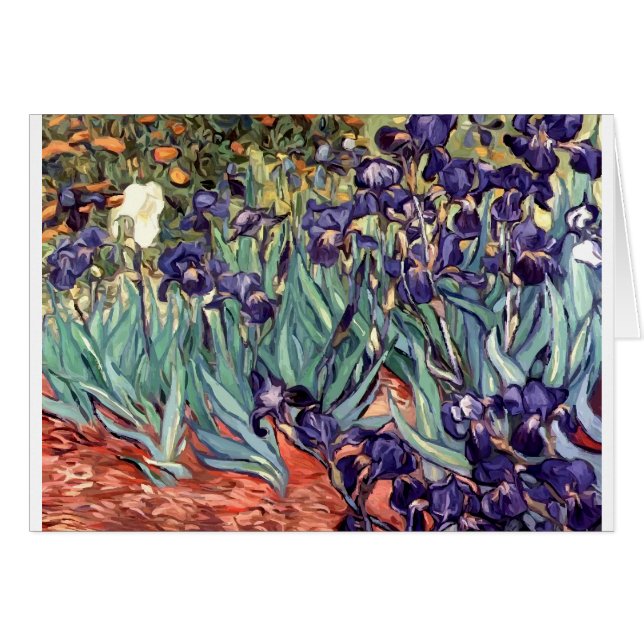 Iris (Vorderseite (Horizontal))