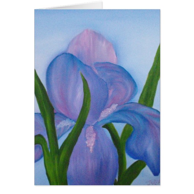 Iris (Vorne)