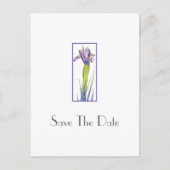 Iris 2 Postkarte (Vorderseite)