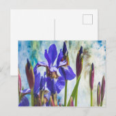 Iris abstrakt Foto Postkarte (Vorne/Hinten)