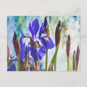 Iris abstrakt Foto Postkarte