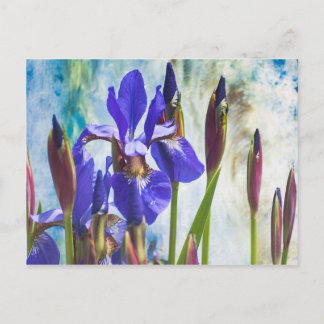 Iris abstrakt Foto Postkarte