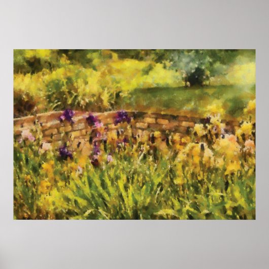 Iris - An der Brücke Poster (Vorne)