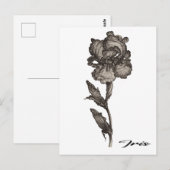 Iris, anonym, c. 1630 - 1690 postkarte (Vorne/Hinten)