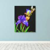 Iris auf schwarz leinwanddruck (Insitu (Holzboden))