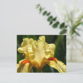 Iris Beauty Postkarte (Stehend Vorderseite)