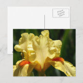 Iris Beauty Postkarte (Vorne/Hinten)