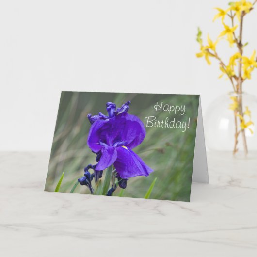 Iris Birthday Card Karte (Gelbe Blume)