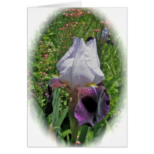 Iris-Blank-Karte