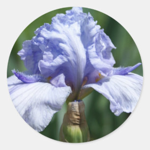 Iris-blau Runder Aufkleber