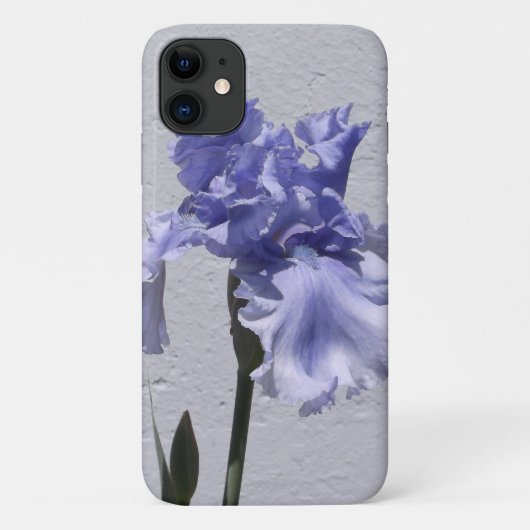 Iris Bloom (Rückseite)