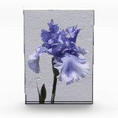 Iris Bloom Fotoblock (Vorderseite)