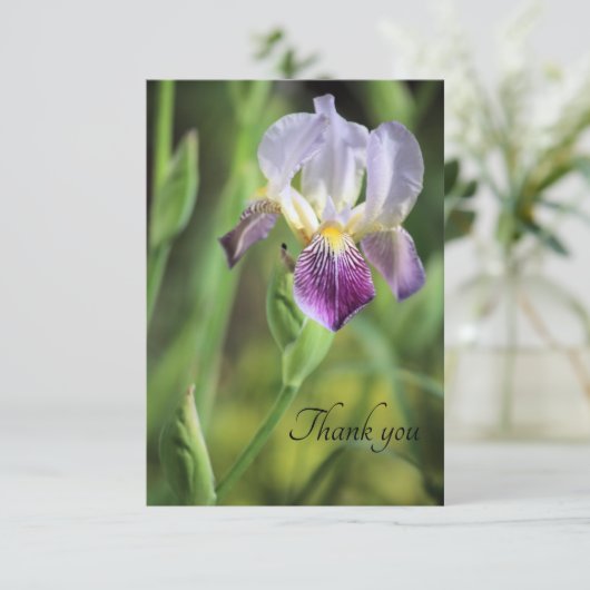Iris Bloom in der Sonne Dankeskarte (Stehend Vorderseite)