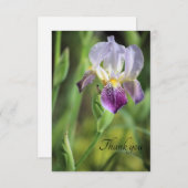 Iris Bloom in der Sonne Dankeskarte (Vorne/Hinten)