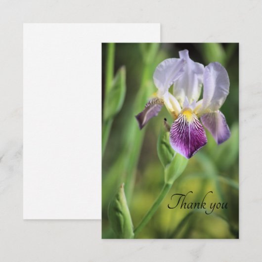 Iris Bloom in der Sonne Dankeskarte (Vorne/Hinten)