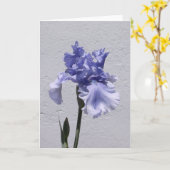 Iris Bloom Karte (Gelbe Blume)
