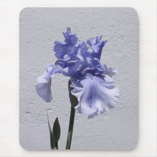 Iris Bloom Mousepad (Vorne)