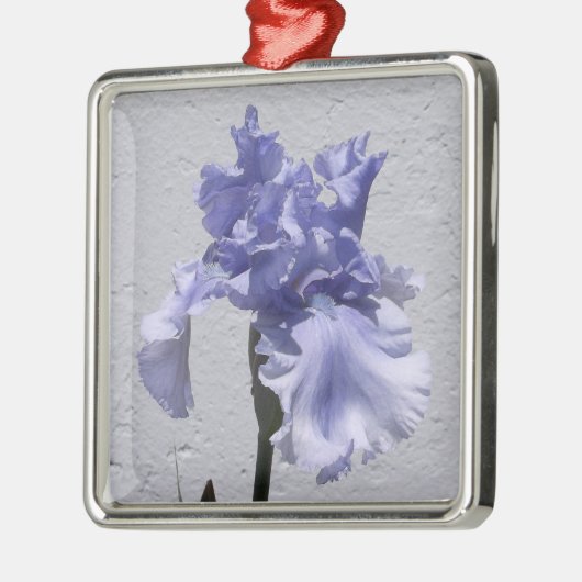 Iris Bloom Ornament Aus Metall (Links)