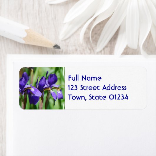 Iris blühen (Insitu)