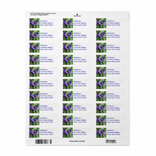 Iris blühen (Vorne)