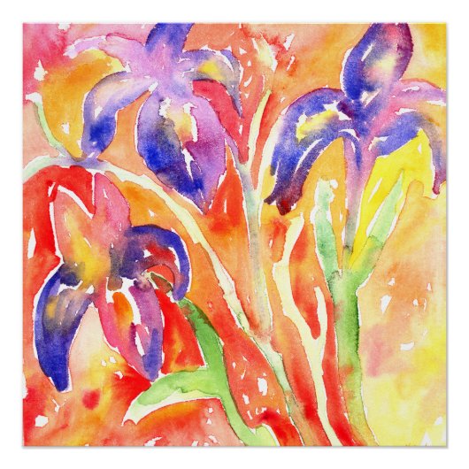 Iris Blume Aquarellmalerei Poster (Vorderseite)