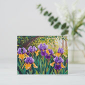 Iris-Blume blühen im Sommergarten Postkarte (Stehend Vorderseite)