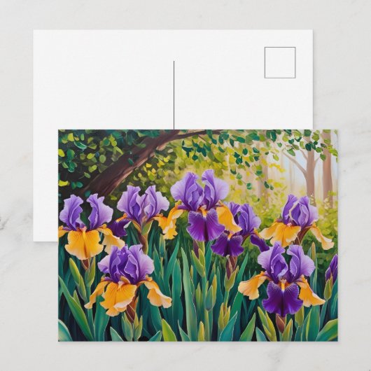 Iris-Blume blühen im Sommergarten Postkarte (Vorne/Hinten)