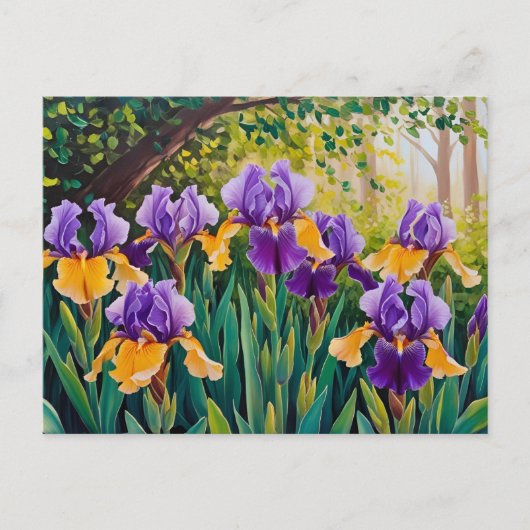 Iris-Blume blühen im Sommergarten Postkarte (Vorderseite)