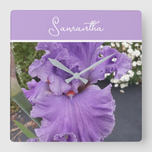 Iris Blume Blume Lila Lavender Lilac Schürze Quadratische Wanduhr (Vorderseite)