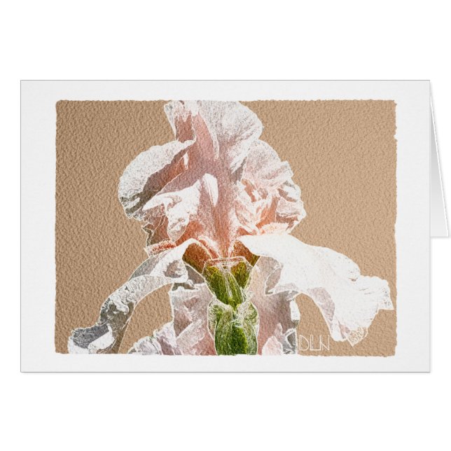 Iris-Blume/Blumen/Aquarellbild (Vorderseite (Horizontal))