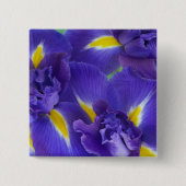 Iris-Blume Button (Vorderseite)