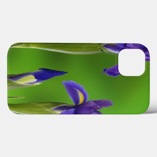Iris-Blume Case-Mate iPhone Hülle (Rückseite (Horizontal))