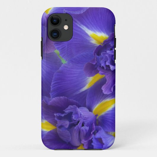 Iris-Blume Case-Mate iPhone Hülle (Rückseite)