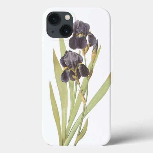 Iris-Blume Case-Mate iPhone Hülle (Rückseite)