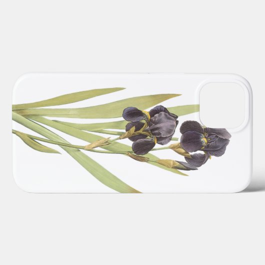 Iris-Blume Case-Mate iPhone Hülle (Rückseite (Horizontal))